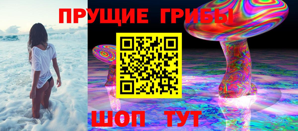 Псилоцибиновые грибы мицелий  Вход с VPN  как найти закладки  Осинники  Галлюциногенные грибы MAGIC MUSHROOMS 